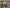 Banner promozionale